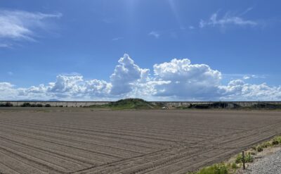 ひまわり園に種まきを行いました🌻