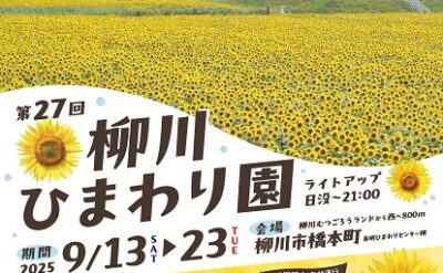 【2025（第27回）柳川ひまわり園は9月13日から】9月6日現在の生育状況です！